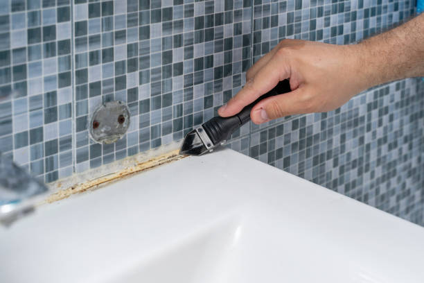 Best Basement Mold Remediation in Geneseo, IL